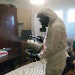 Дезинфекция от клопов в Зиме