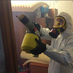 Уничтожение клопов в квартире. Зима